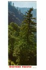 Rare 1969 Vista-dome California Zephyr Western Pacific Railroad Time Table 