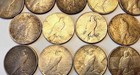 Lot Of 13 Silver Peace Dollars - Mixed Dates 1922-1928