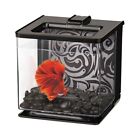 Betta Fish Tank  Marina Betta Ez Care Aquarium Kit Black  0 7 Gal  7 lx6 5 wx7 h