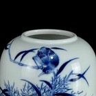 Chinese Blue white Porcelain Handpainted Flower   Bird Pattern Brush Washer 8007