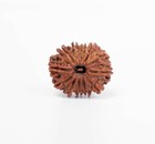 12 Mukhi Rudraksha Silver Pendant  Nepali Traditional  20mm  Unisex