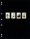  3 00 Scott Value - 1985 Bvi Virgin Isl Birds Caribbean Sea Cv Mnh Nh Umm
