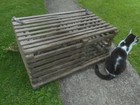 Authentic Vtg Maine Lobster Trap New England Nautical D  cor Rustic Make A Table 