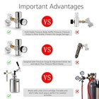 Mini Keg Co2 Regulator 0-60 Psi Portable Corny Keg Regulator Mini Co2 Regulator