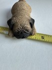Vintage Sandcast Lil Snoozers Pug Puppy Miniature Or Labels Signed 1986 Usa S06