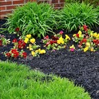 Premium Black Wood Mulch   Decorative Garden Mulch For Beds  Pathways   Planters