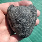 Lot Of 7 Fossil Sea Biscuits From Holden Beach Nc  2 Bivalve