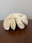 Large Natural Coral Skeleton Ruffled Lettuce Reef White 9    Decor