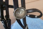 Silver Laced Brow Band Silver Horse Headstall Stainless Steel Curb Bit
