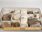 Invertebrate 34 Fossil Bulk Lot - Various Localities - Wholesale - Some Labeled