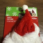 All Living Things Santa Costume Small Pet Guinea Pig New