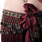 Belly Dance Free Size Hip Scarf Coins Wrap Skirt Waist Belt Dress Costume