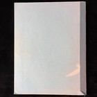 Mentalistrix By The Amazing Maurice  Published By Micky Hades  Calgary 1964