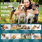 Maxhemp Pet Hemp Oil For Dogs   Cats - Calming  Joint   Inflammation Relief