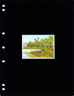  5 00 Scott Value - 1996 Solomon Isl  Birds S s Rainbow Lorikeets Cv Mnh Nh Umm