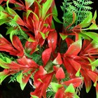 25 Cm Aquarium Fish Tank Landscaping Simulation Aquatic Grass Plants Artificial
