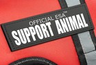 Support Pets Dog Harness The Only     Vest For Easy Pet Recognition Walk And Tr   