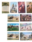 Collection Of 15 Vintage Postcards Of Cowboys   Western Scenes  Cattle Ranch