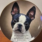Vintage Danbury Mint Eyes Of Love Boston Terrier Porcelain Collector Plate 8  