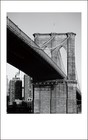 Fujifilm Instax Mini B w Monochrome Film  30 Shots  Black And White Fuji 09 18