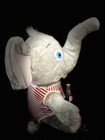 Haunted Doll Elephant Vessel Child Spirit Positive And Loving