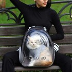 Portable Pet Carrier Backpack Transparent Breathable Travel Bag For Cats Dogs