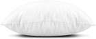 Edow Throw Pillow Inserts  Set Of 2 Lightweight Down 18x18 Inch  White 