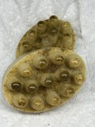 Homemade Oval Massage Bar Soap With Nubs  Herbal Scent  Brown Speckled