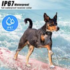 800m Dog Training Collar Rechargeable Remote Shock Pet Waterproof Trainer 3 Mode