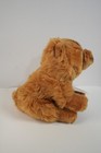     webkinz Signature Chow Chow Nwt Unused Adoption Code Retired Ganz