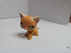Littlest Pet Shop  525 Cat Raceabout Ranch Orange Short Hair Lps Figure Hasbro  