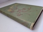 Antique 1889 Needle   Brush Book Embroidery Sewing Painting Illustrated