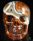 Gemstone 2 0  Red Crazy Lace Agate Hand Carved Crystal Skull  Realistic
