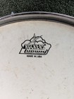 Vintage Ludwig Pearl Export Chrome Steel Shell Snare Drum 14  X 6  -8 Lug