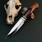 10 0 Inch D2 Tactical Knife Half Tang Resin Handle Fixed Blade Leather Sheath