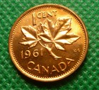 1961    Canadian Small Cent  Bu Roll   50 Coins  Queen Elizabeth Ll  m22