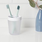 Frosted Toothbrush Holder Bathroom Vanity Counter Toothpaste Storage Organizer