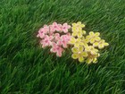 100 Paper Quilling Flowers 1 5mm    Colorful Handmade   Greeting Card Art Deco