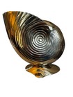 Mid Century Vintage Brass Nautilus Seashell Planter 6  Tall X 6    Wide