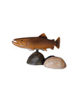 Carved Wooden Brown Trout With Stream Boulders Varied Specimens