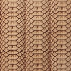 Leather Stamp Tool For Leather Craft Diy Brass Stamp  395 Python Skin Stamp 18mm