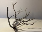 Manzanita Driftwood  Reptile Tank Decor   Aquascape  Terrarium  Aquarium Wood