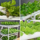 Vertical Hydroponic Planting System For Growing 36 90 108 Plants Brand New-