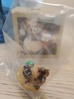 Wee Forest Folk Special Color Mouse Expo Small Pirate And Parrot New In Bag