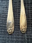 Vtg 1847 Rogers Bros 42 Pc Daffodil Pattern Is Silver Plated Silverware Set