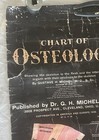 1920 Chart Of Osteology 29x58    By Dr  G H Michel 1920 Medical Education Antique