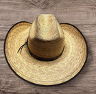 Jason Aldean Collection Cowboy Hat By Resistol Natural Color Size 7 1 2 Western
