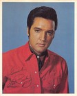 Elvis Presley International Hotel Las Vegas August 1969 Promo Photo Flyer