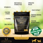 Weight Gainer   Appetite Supplement For Dogs   Cats  - Free Shipping