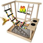  Parrots Playground Bird Play Gym Wood Perch Bird Playground With Long Ladder